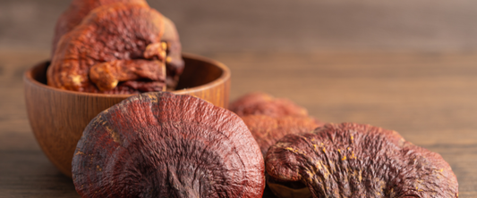 Reishi Extrakt in einer Holzschüssel mit getrockneten Pilzen auf einem Holzuntergrund.