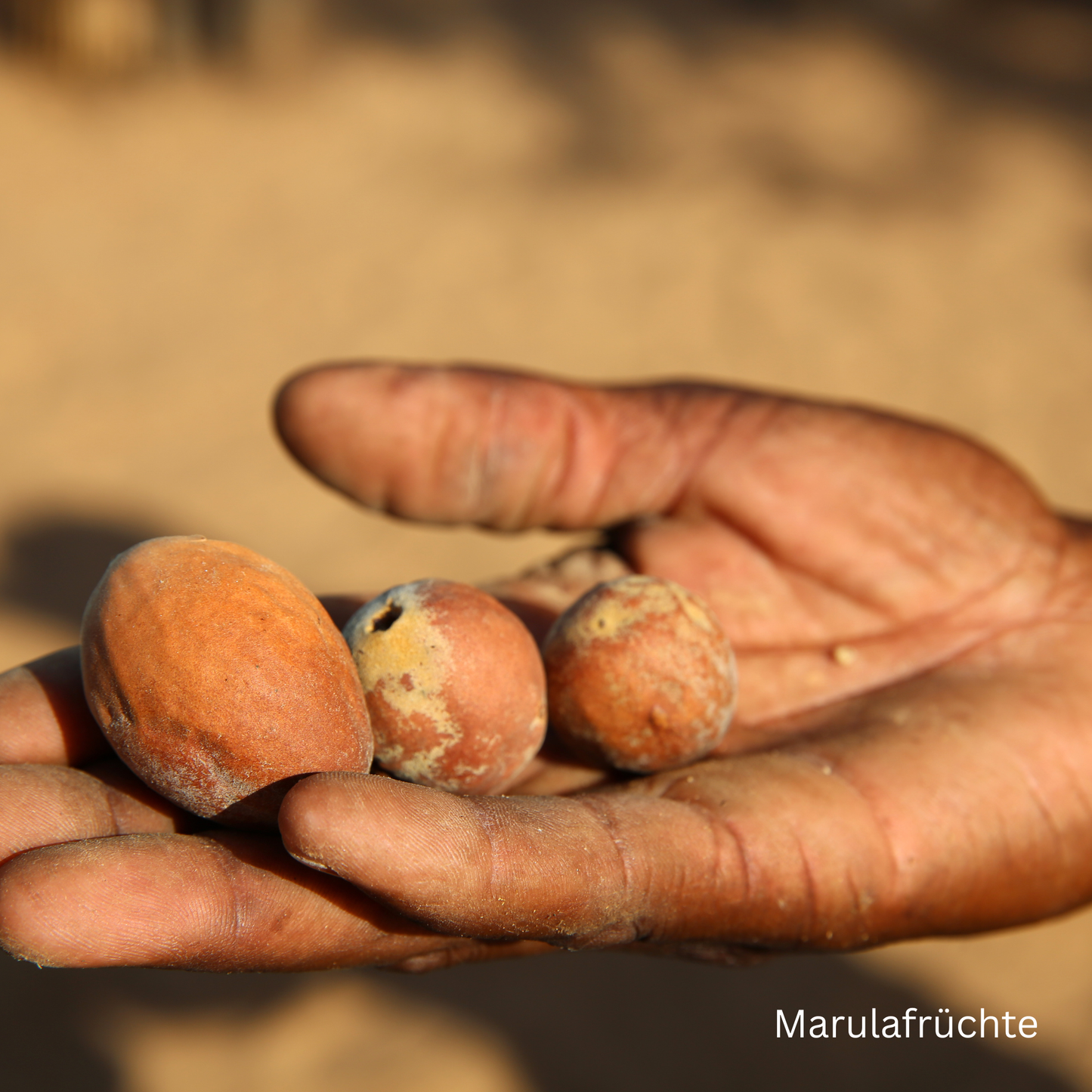 Augencreme gegen Trockenheitsfältchen & Müdigkeit - THE GLOW Eye Cream