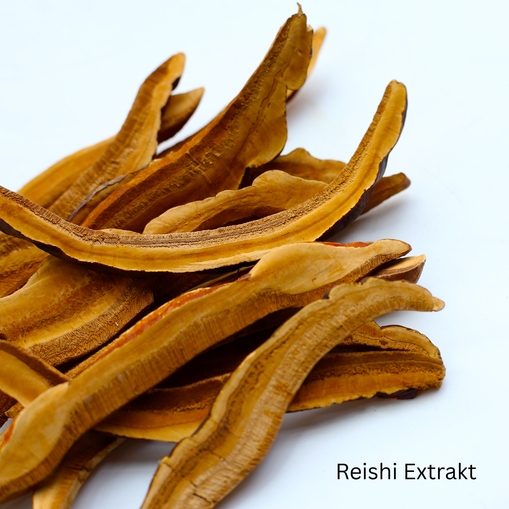 Reishi Extrakt in getrockneter Form, reich an Nährstoffen und Antioxidantien für Gesundheitsanwendungen.